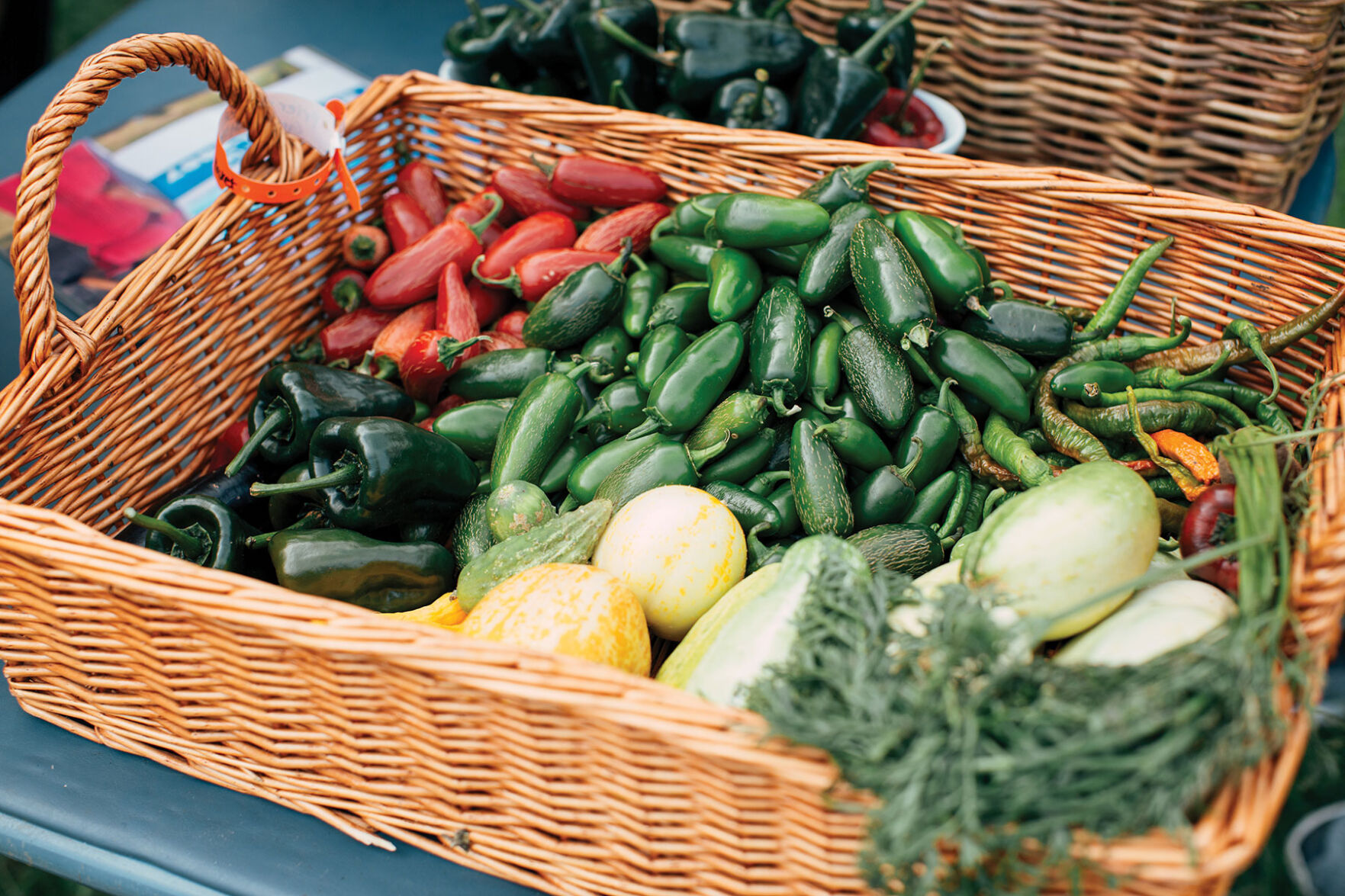 Brooklyn Heights Community Garden
